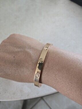 Rose Pink Gold Plated Stainless Steel Cartie Love Screw Motif Bangle Bracelet